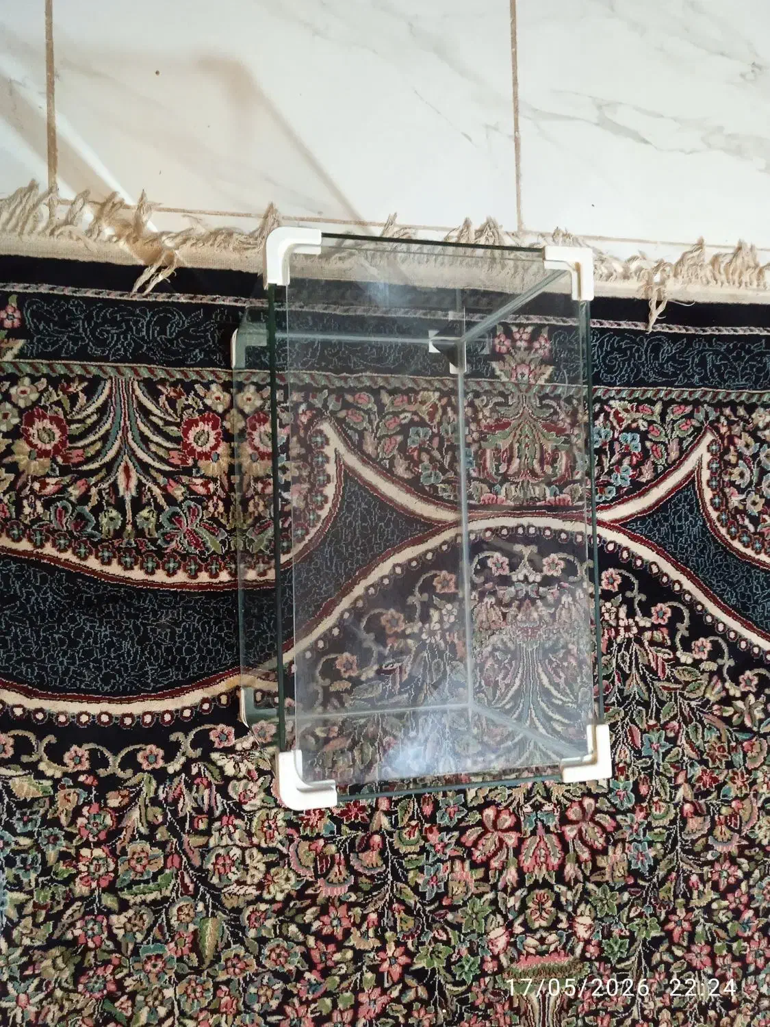 شور|ماهی|کرمان, |دیوار