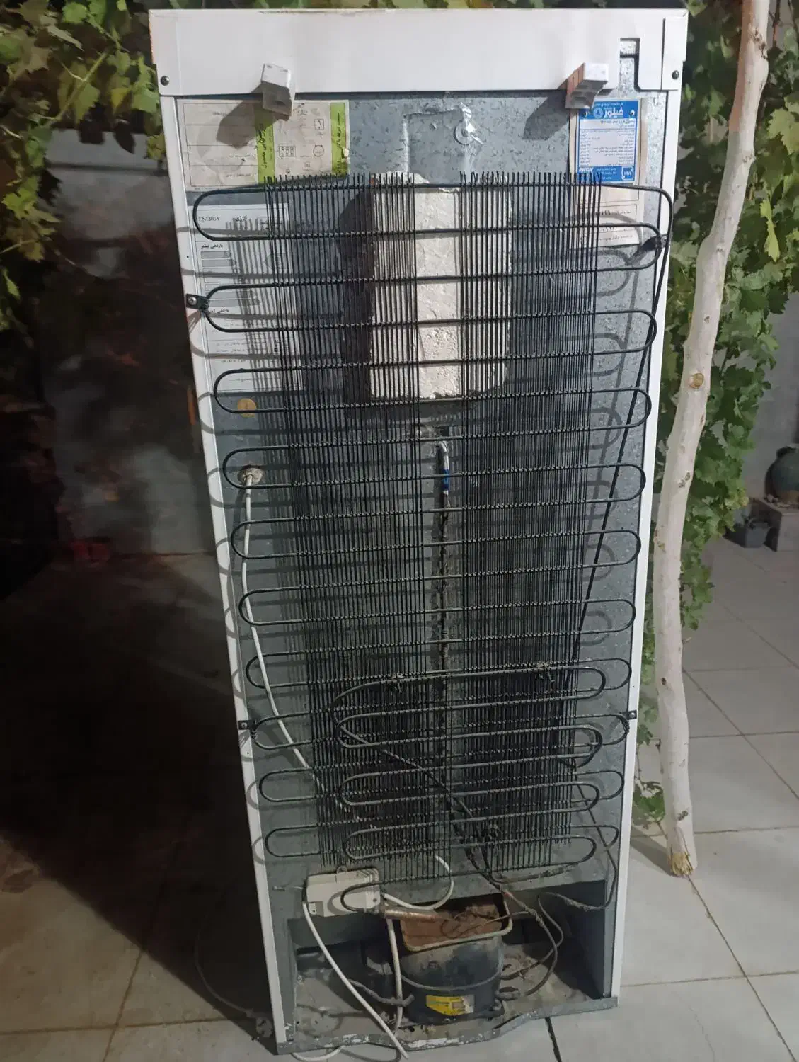 یخچال فیلور بالاوپایین|یخچال و فریزر|مهریز, |دیوار