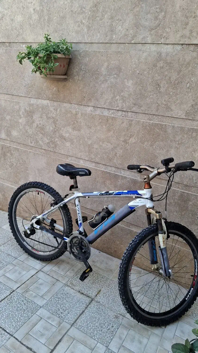 دوچرخه ویوا|دوچرخه، اسکیت، اسکوتر|بندر کنگان, |دیوار