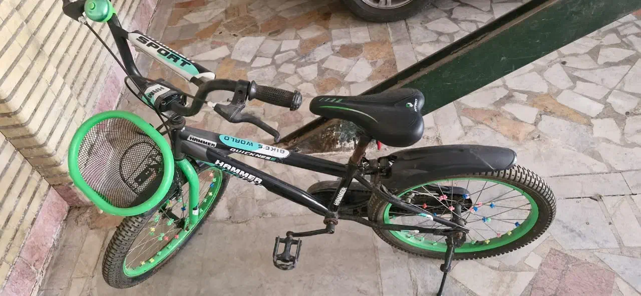دوچرخه ۲۲ سبزرنگ دخترانه|دوچرخه، اسکیت، اسکوتر|ری, منصوریه منگل|دیوار