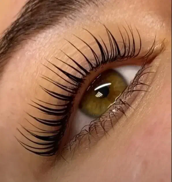 اکستنشن مژه کاشت هیدن لیفت و لمینت(آموزش و خدمات)|خدمات آرایشگری و زیبایی|بوشهر, |دیوار