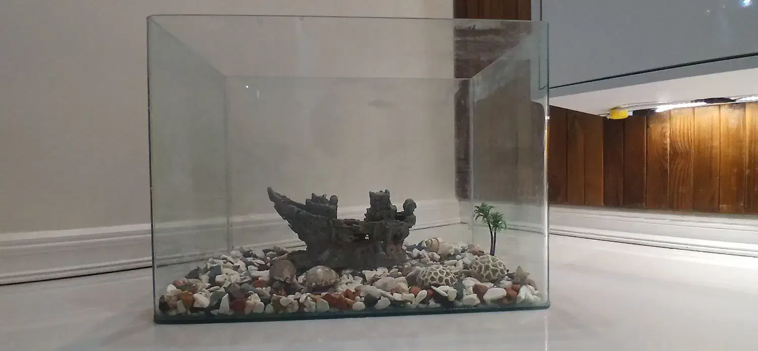 آکواریم سالم شیشه خم به همراه لوازم|ماهی|مشهد, رضاشهر|دیوار