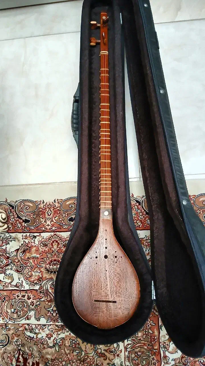 سه تار|سازهای سنتی|پاکدشت, پاکدشت (مامازند)|دیوار