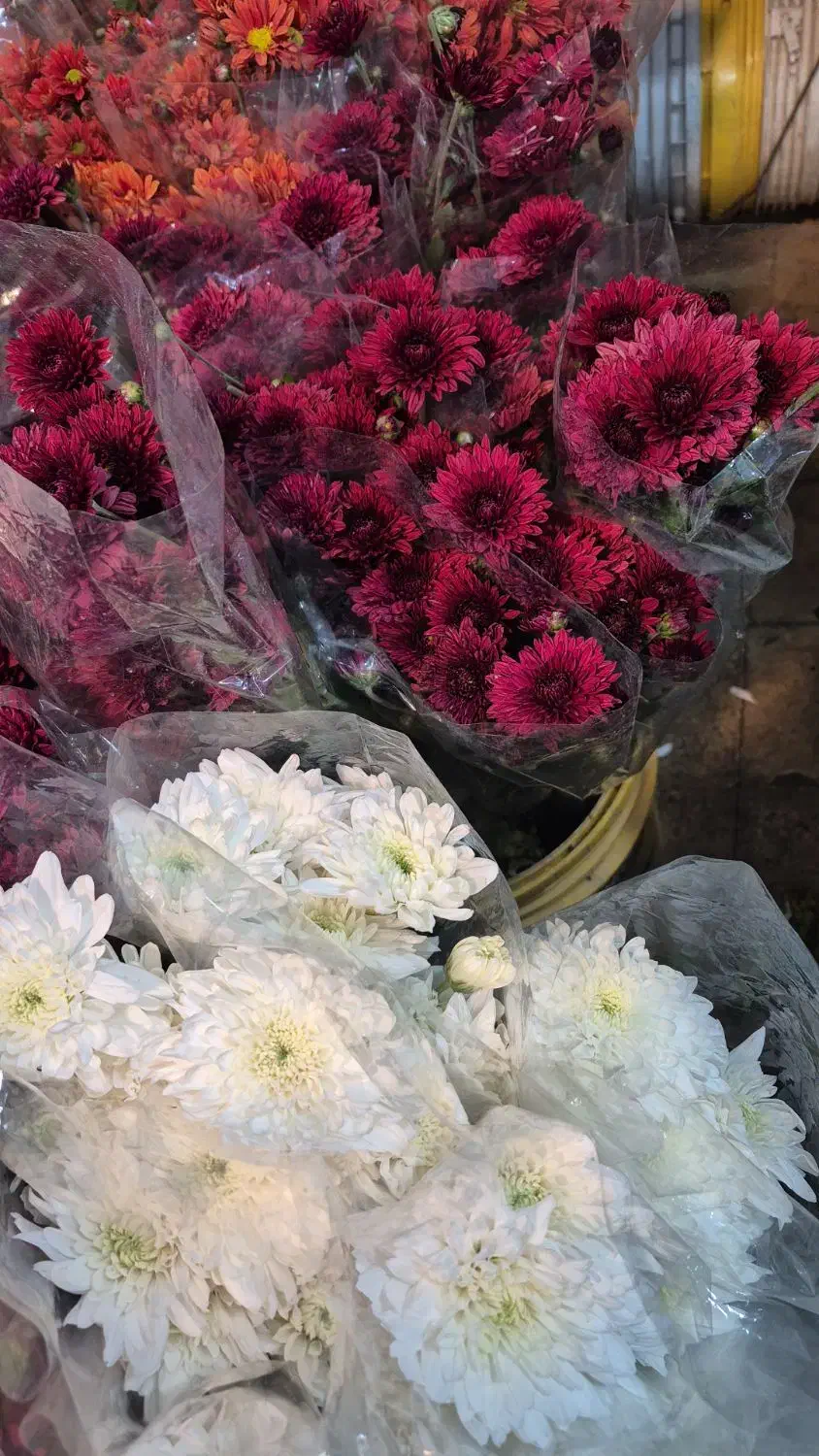 گل آرایی مجالس|گل و گیاه طبیعی|اصفهان, نصرآباد|دیوار