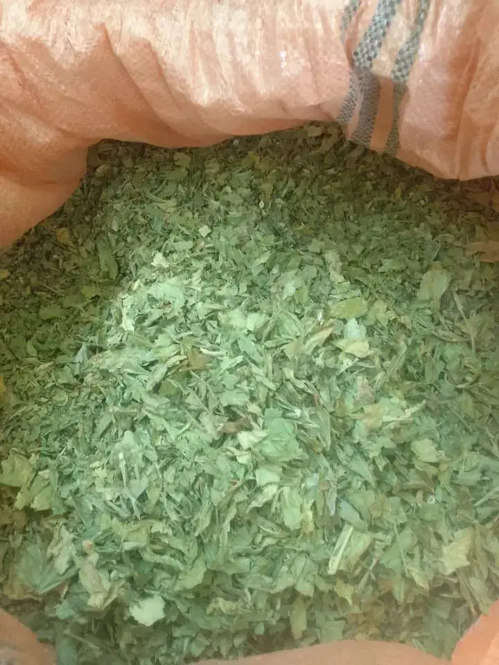 کرفس کوهی کلوس کوهی موسیرخشک|خوردنی و آشامیدنی|کوهرنگ, |دیوار