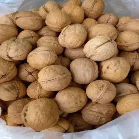 گردو|خوردنی و آشامیدنی|خلخال, |دیوار