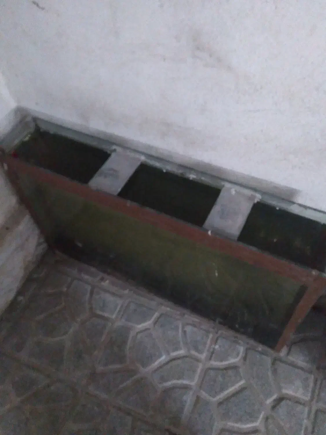 آکواریوم بزرگ|ماهیگیری|مشهد, ایثارگران|دیوار