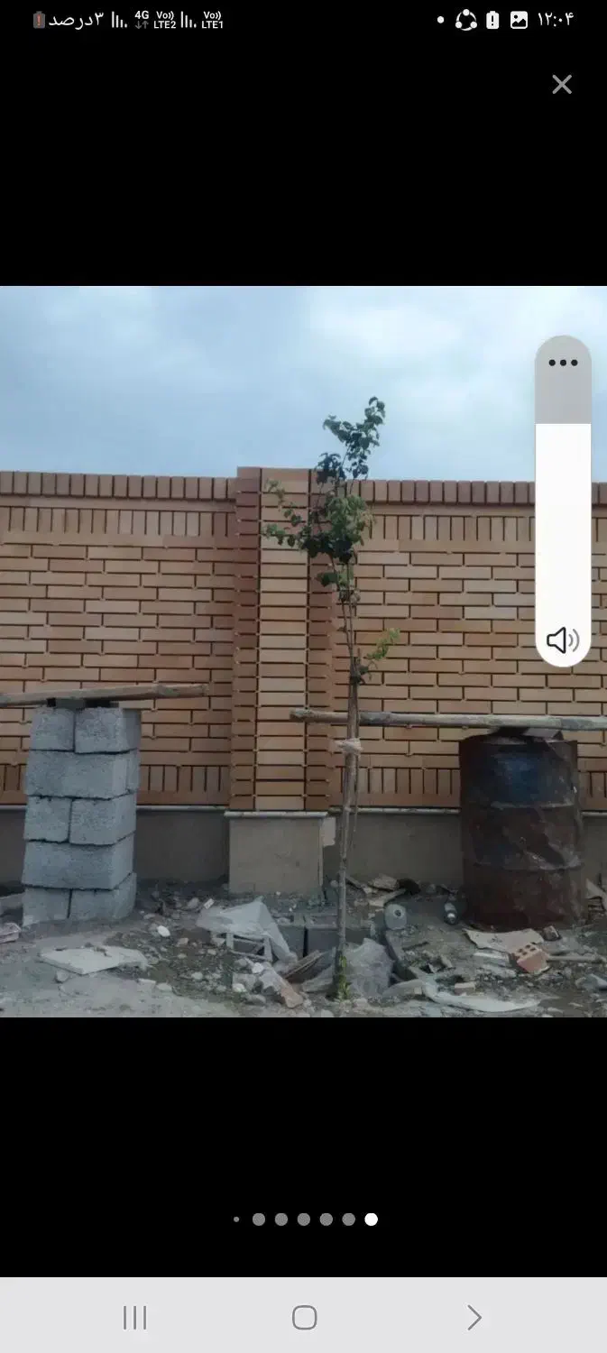 نما آجر سنگ و کاشی|خدمات پیشه و مهارت|ایرانشهر, |دیوار