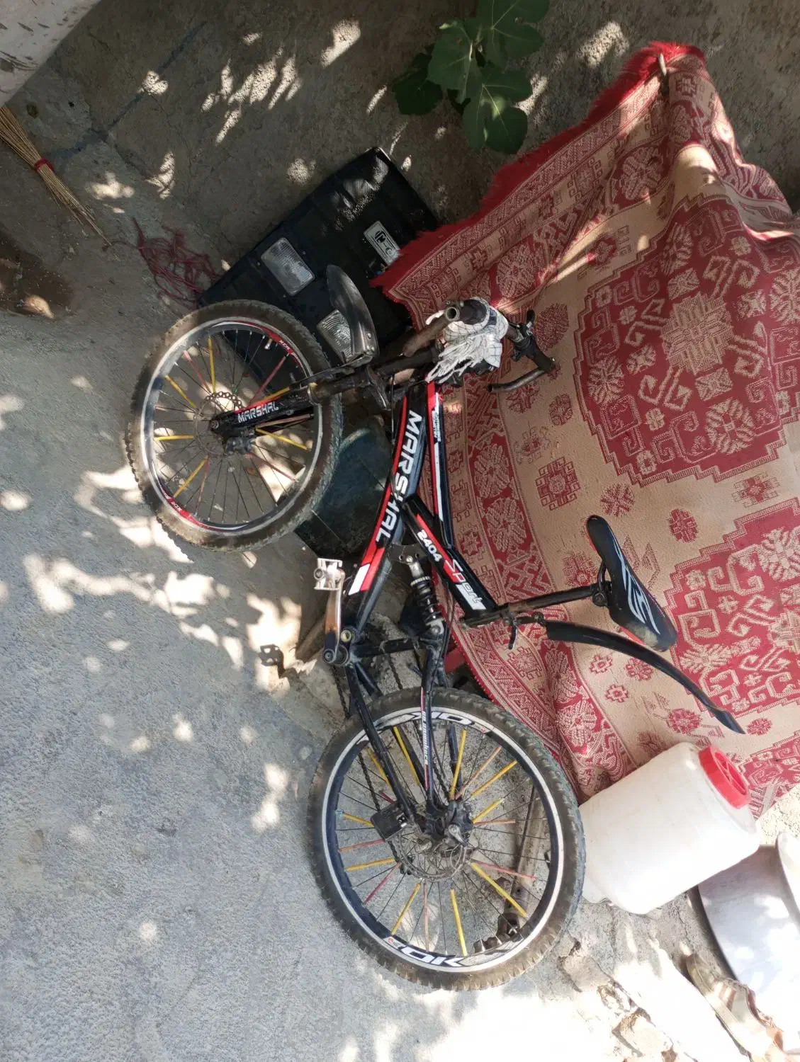 دوچرخه 24|دوچرخه، اسکیت، اسکوتر|دینور, |دیوار