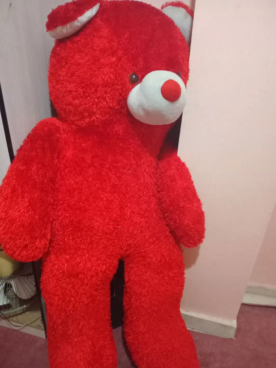 عروسک خرسی|اسباب‌‌بازی|ری, علایین|دیوار