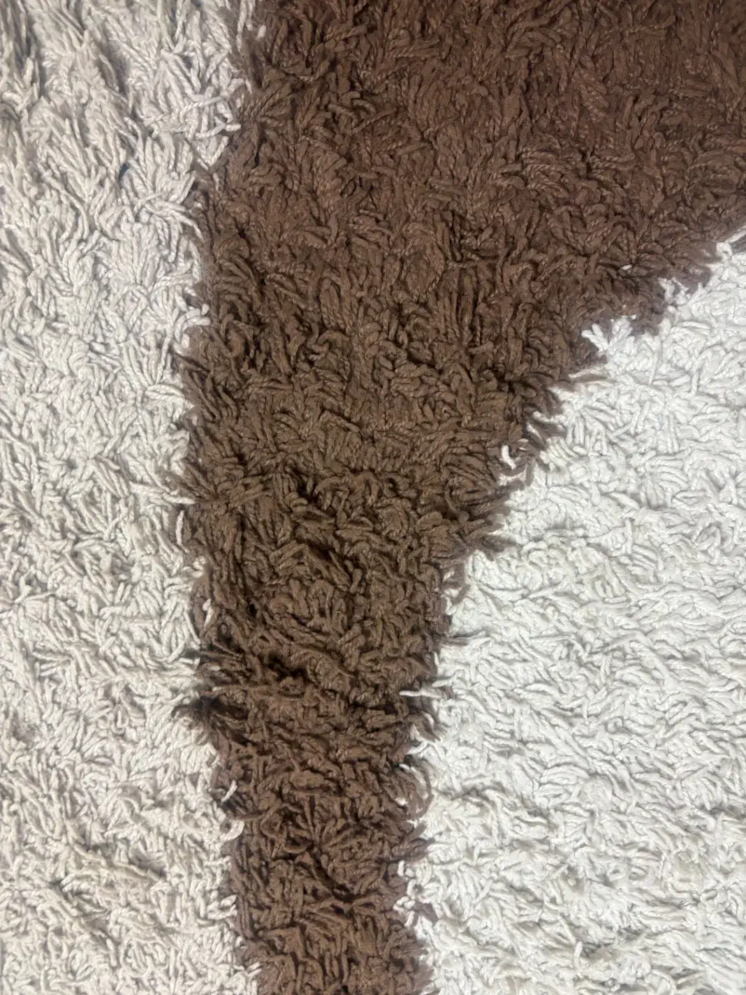 فرش شگی پرز بلند ۴ متری|فرش|شیراز, شهرک سراج‎|دیوار