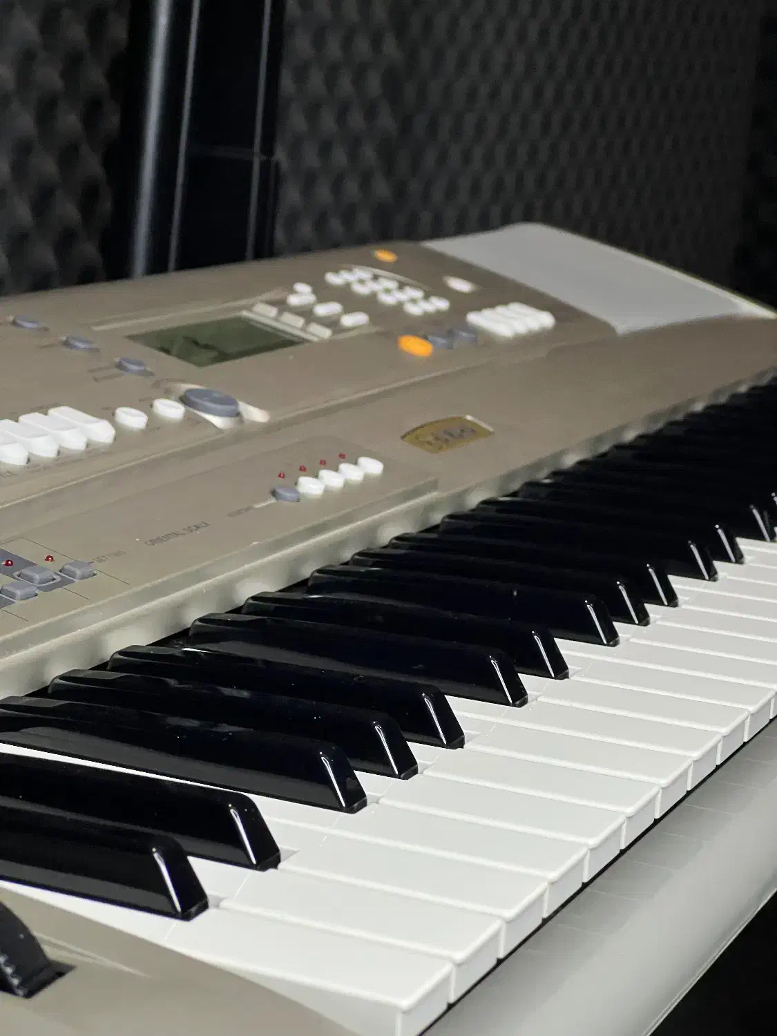 ارگ یاماها a300‌ نو|پیانو، کیبورد، آکاردئون|مشهد, تربیت (صدف)|دیوار