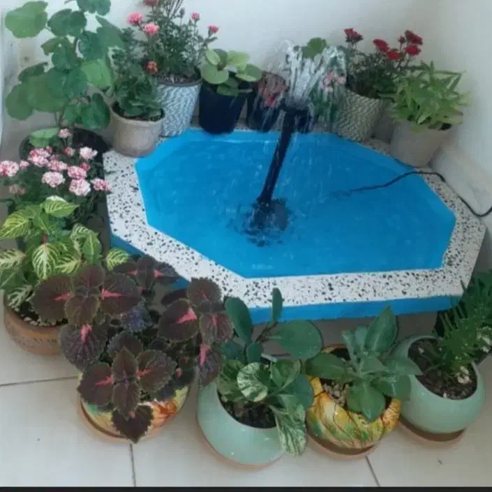 حوض ماهی|ماهی|نیشابور, فضل|دیوار