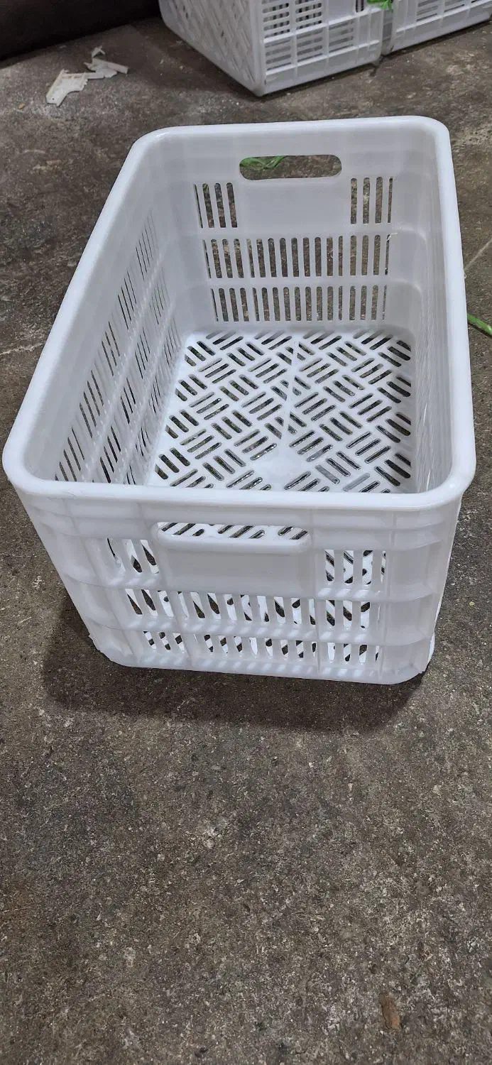 فروش سبد ۲۰ کیلویی|ظروف نگهدارنده، پلاستیکی، یکبارمصرف|بابل, |دیوار