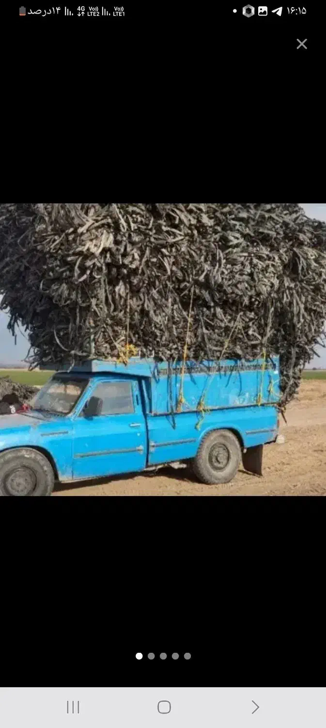 خرید ضایعات نوارتیپ و قطره ای|خدمات باغبانی و درختکاری|تربت جام, شاهد|دیوار