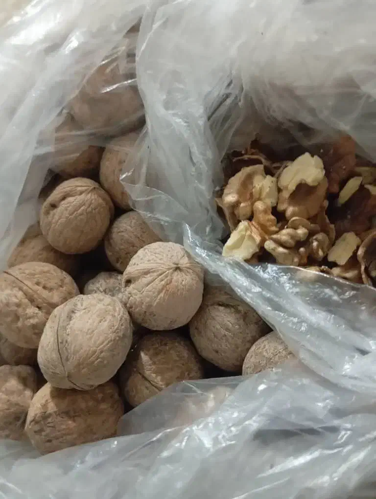 گردو محلی|خوردنی و آشامیدنی|شیراز, گلشن|دیوار