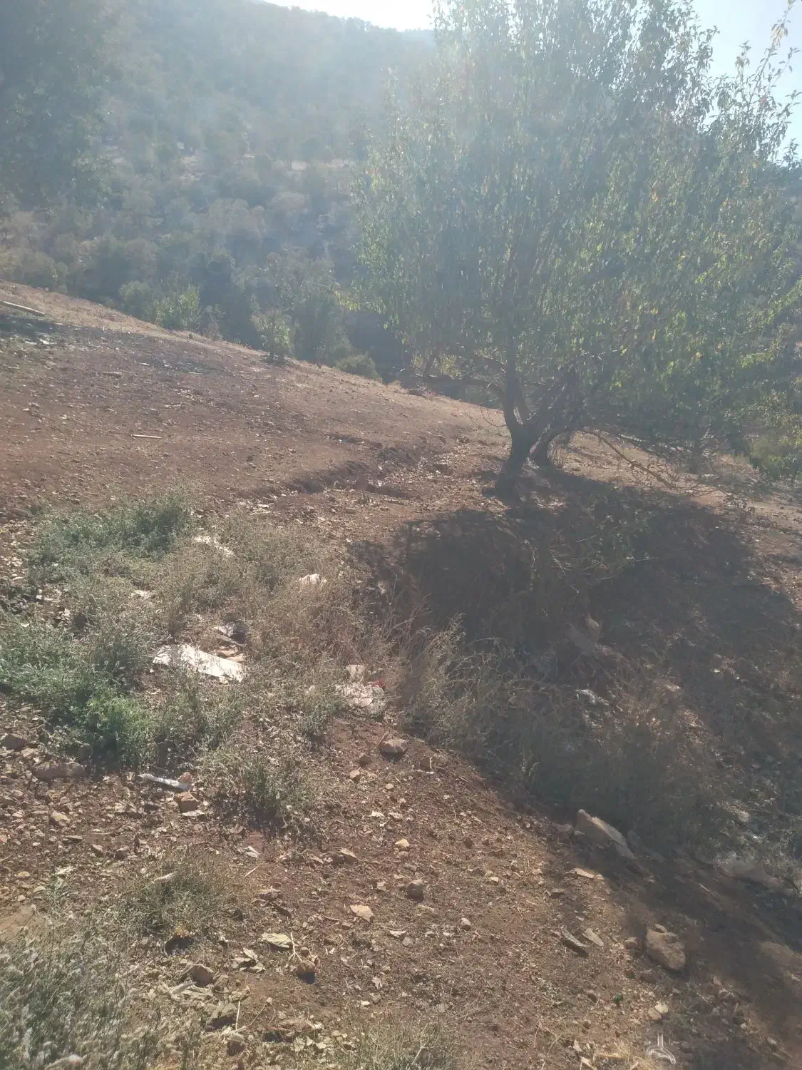 باغ ویلا تاف|فروش خانه و ویلا|مشهد, خرم آباد|دیوار