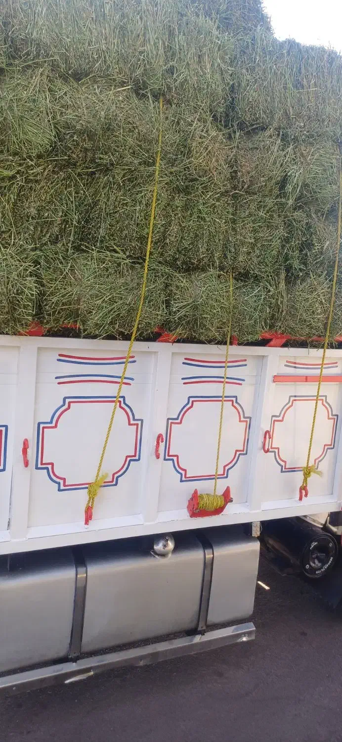 بیده درجه یک در کرمان|عمدهفروشی|زرند, |دیوار