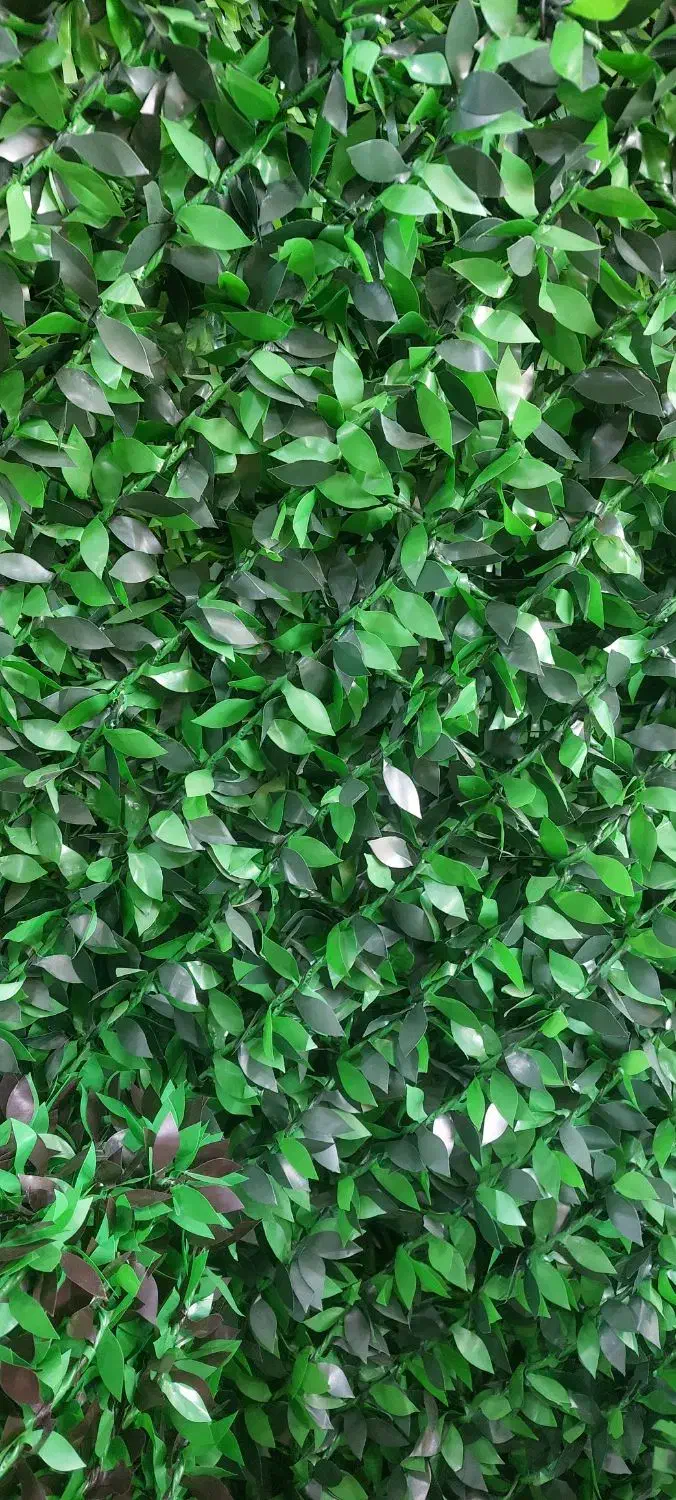 فنس چمنی|خدمات باغبانی و درختکاری|هشتگرد, کوی بهروز|دیوار