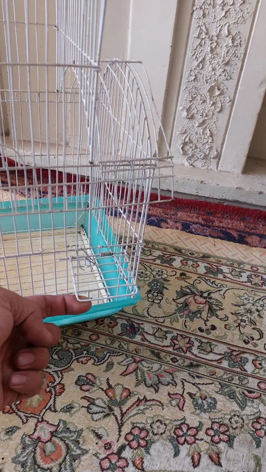 قفس|لوازم جانبی حیوانات|تهران, دانشگاه شریف|دیوار