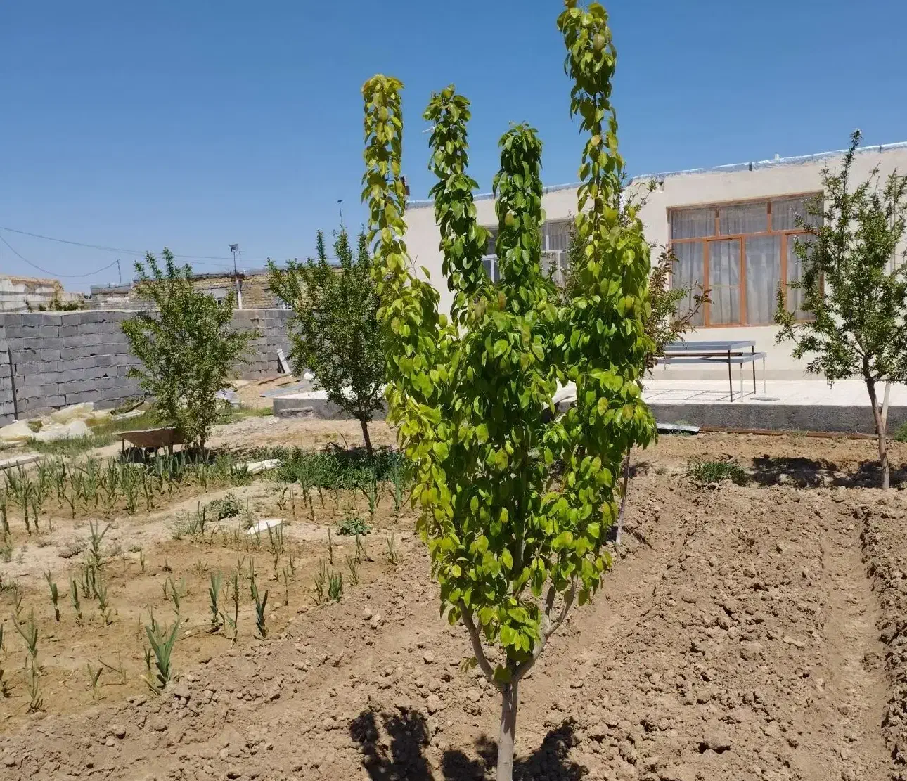 ویلا باغ دولت آباد|فروش زمین و ملک کلنگی|فرمهین, |دیوار