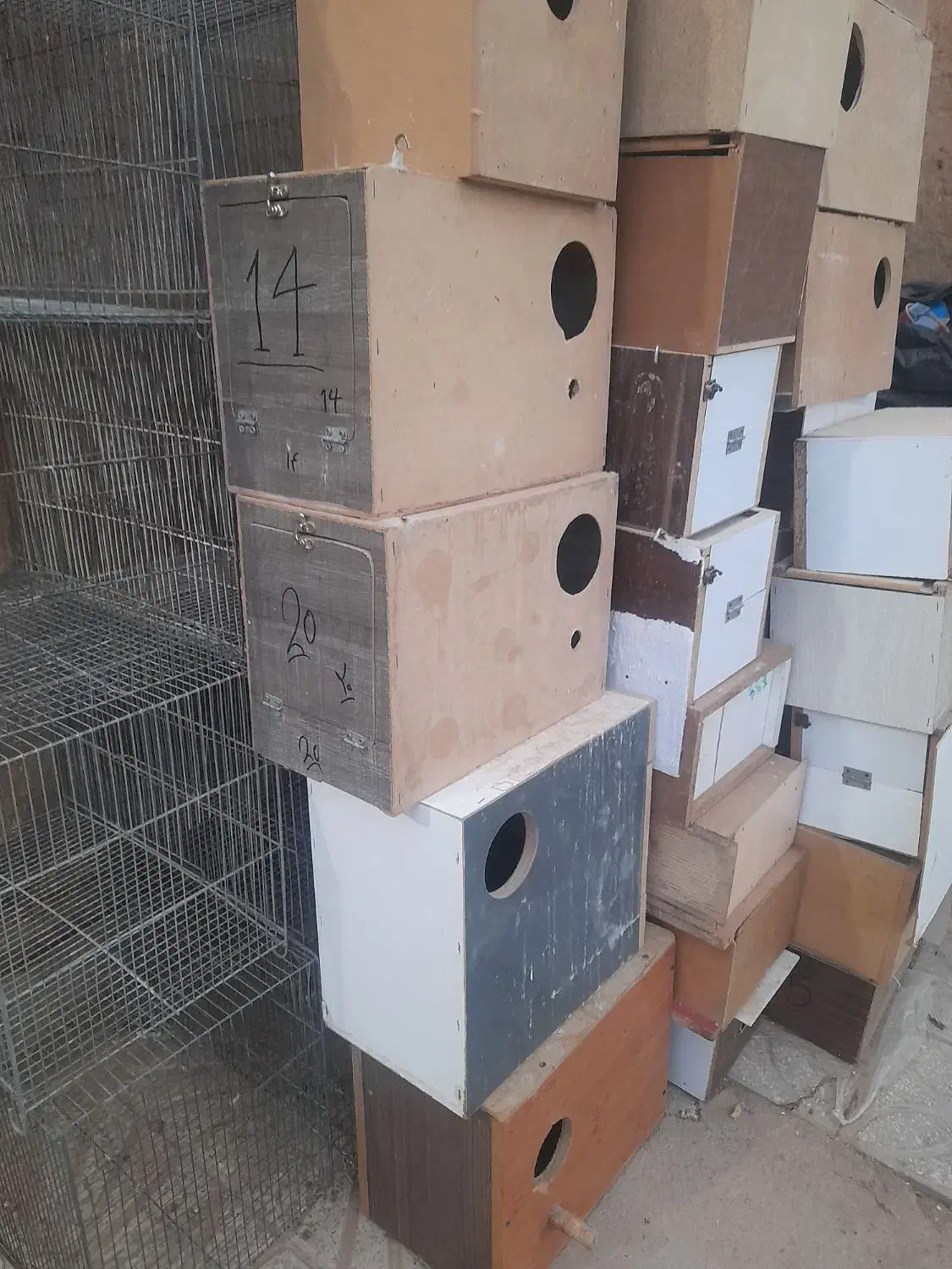 تعدادی لونه طوطی سانان و آبخوری و دونخوری|لوازم جانبی حیوانات|یزد, |دیوار