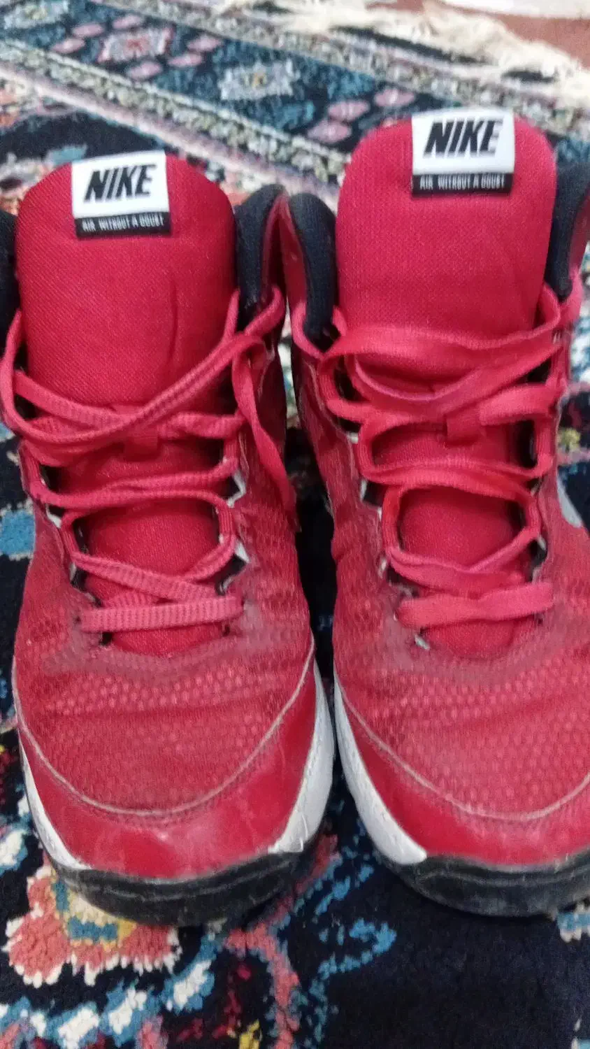 کفش نایک|کیف، کفش، کمربند|کرج, مصباح|دیوار