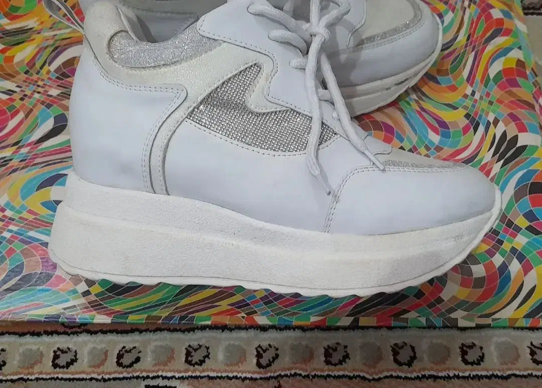 کفش اسپورت|کیف، کفش، کمربند|سقز, |دیوار