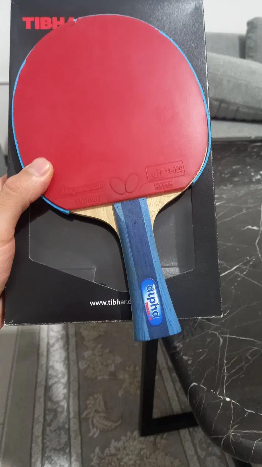 راکت پینگ‌پنگ|ورزش‌های توپی|زنجان, |دیوار