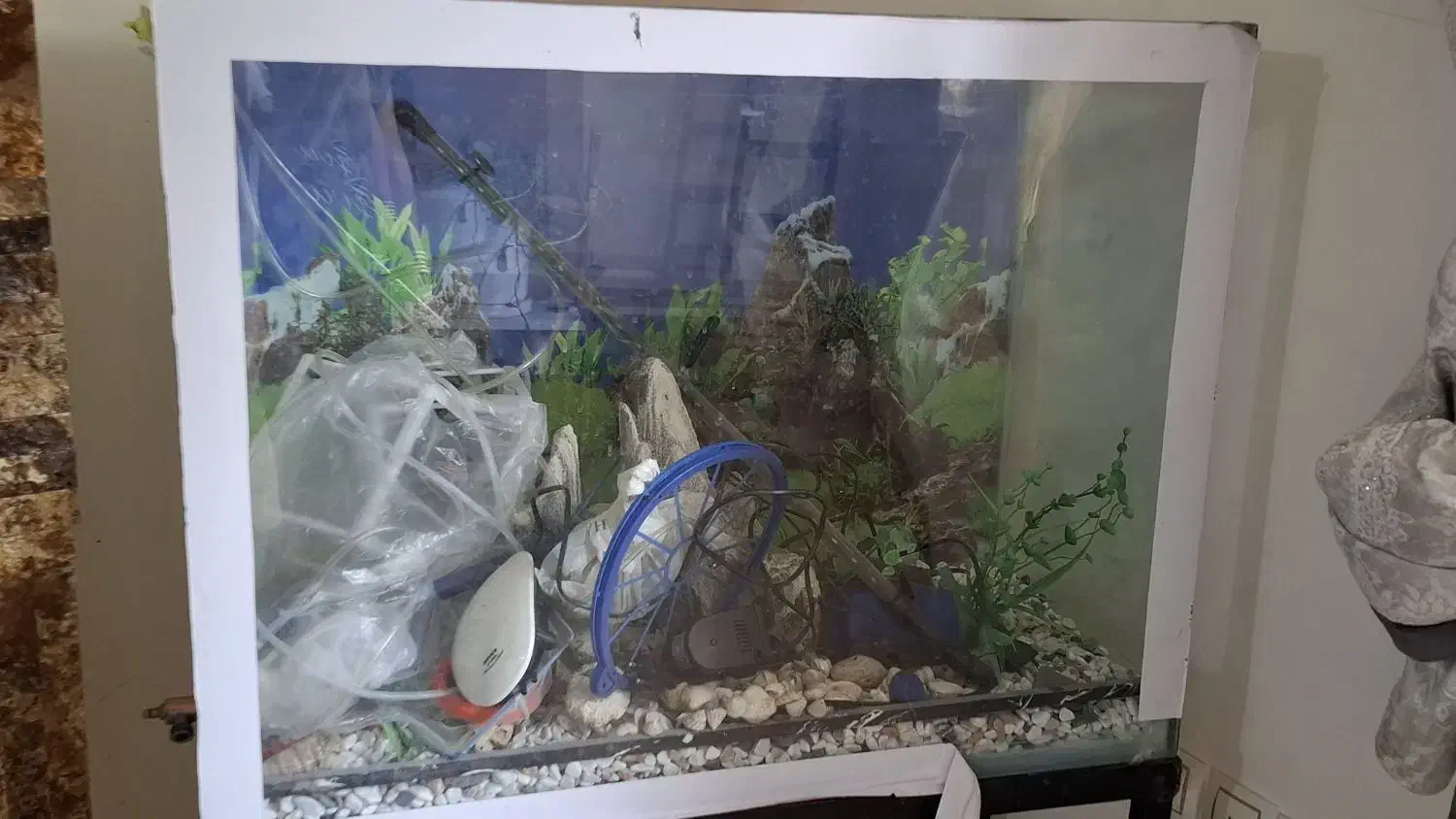 آکواریوم سایز بزرگ همراه پایه و تجهیزات کامل|ماهی|بندرعباس, |دیوار