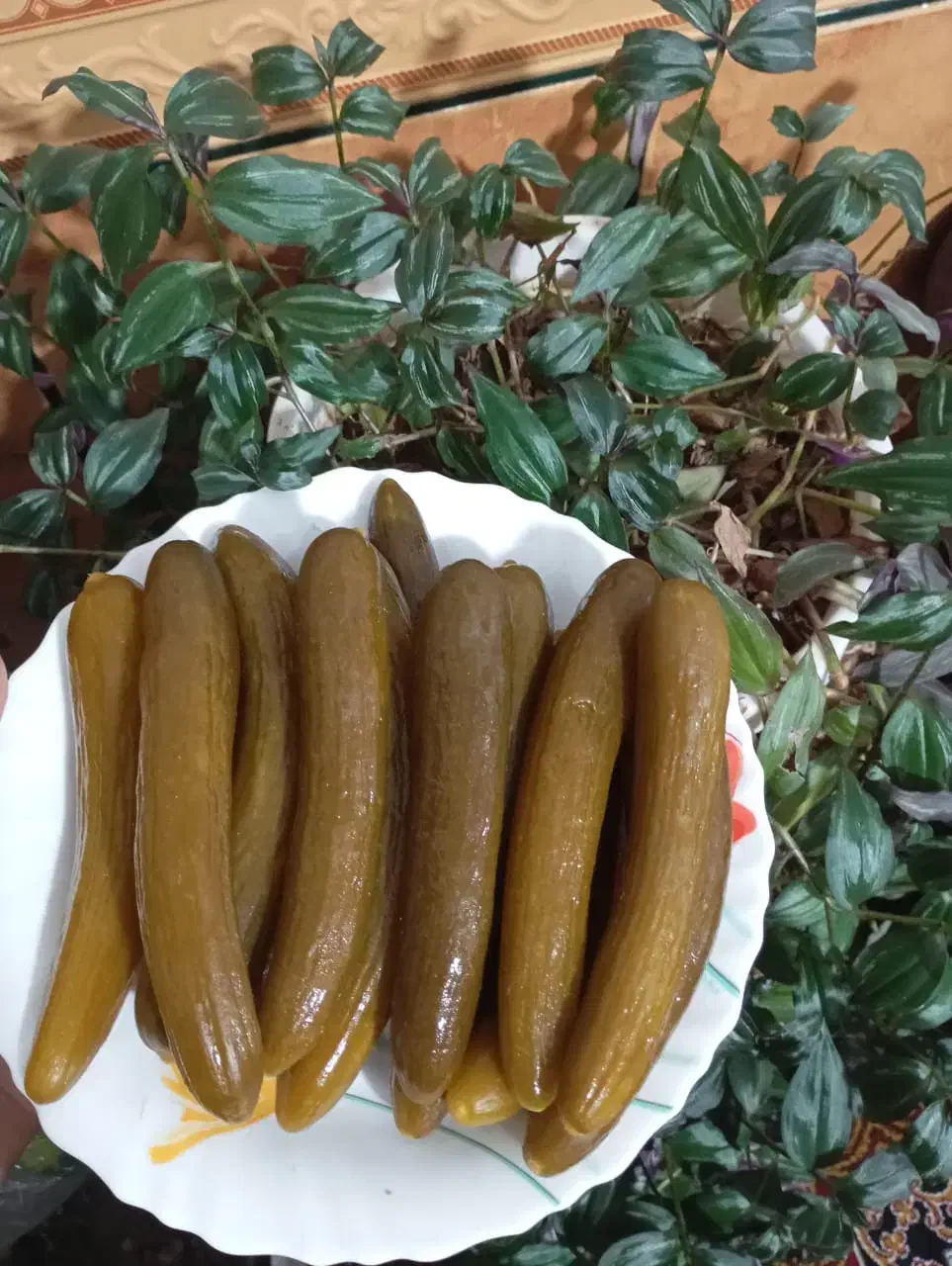 خیار شور ترد و تازه و خوشمزه|خوردنی و آشامیدنی|دره شهر, |دیوار