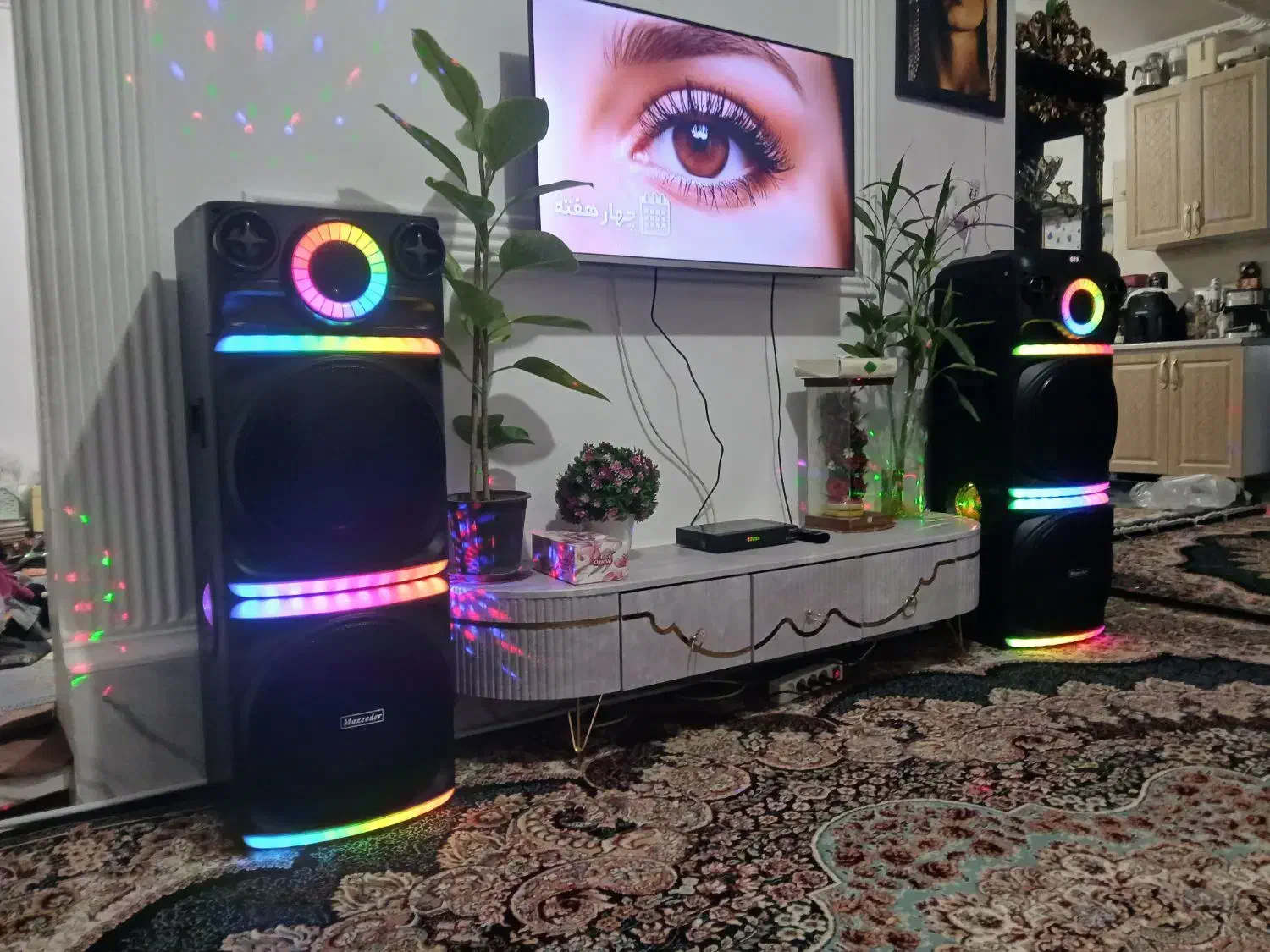 اسپیکر دو قلو|سیستم صوتی خانگی|ریگان, |دیوار