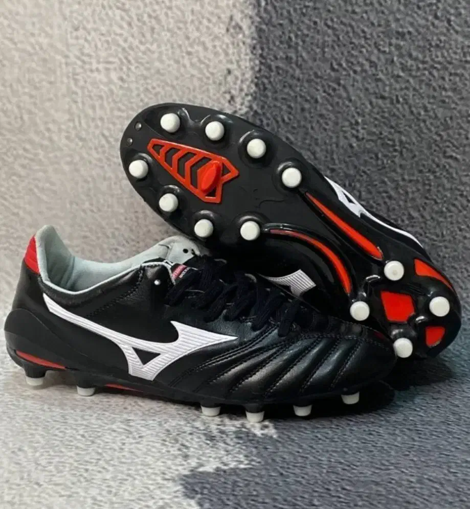 برازجان|کیف، کفش، کمربند|برازجان, |دیوار