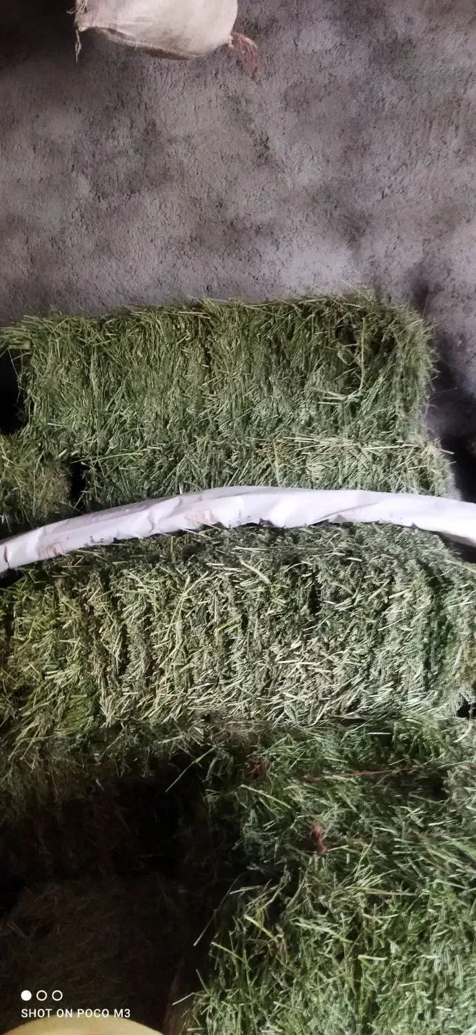 پرس یونجه|لوازم جانبی حیوانات|بیرانوند, |دیوار