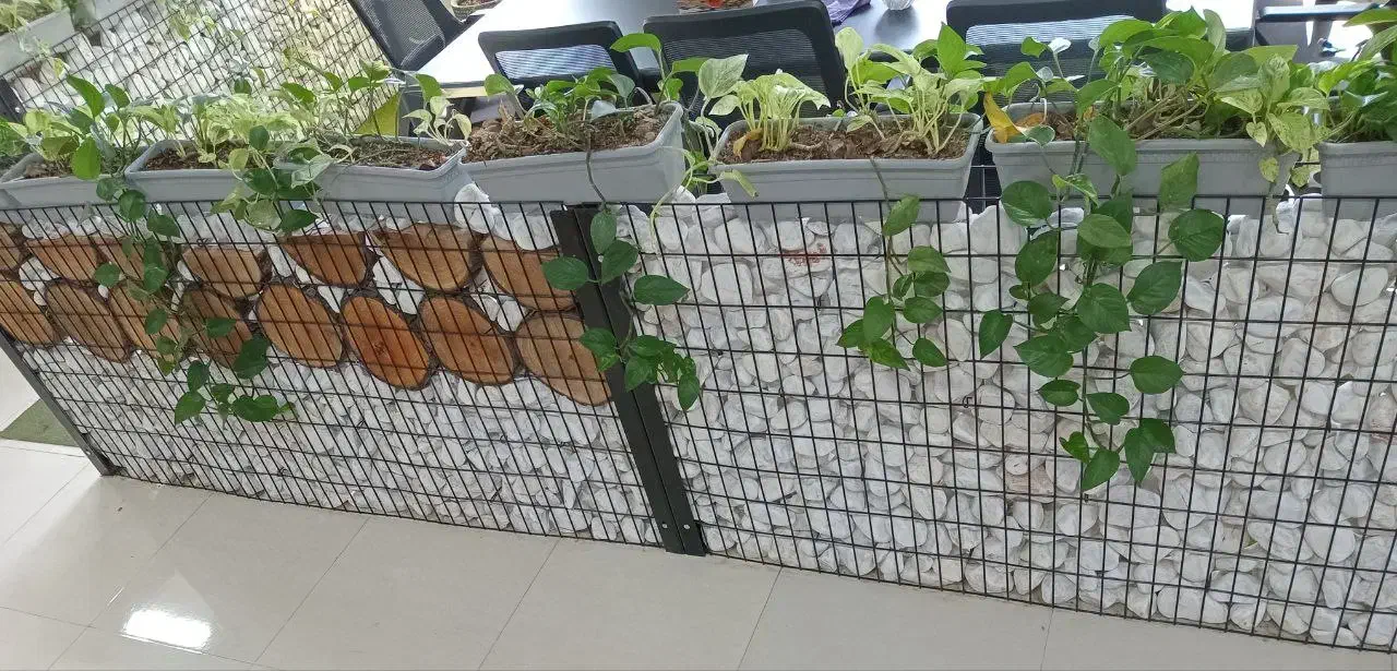 طراحی و اجرا دیوار گابیون و سنگ قلوه|مصالح و تجهیزات ساختمان|اهواز, کیانپارس |دیوار