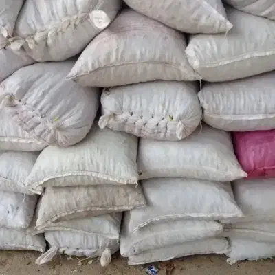 بلوط خوراک دام|عمدهفروشی|شوشتر, |دیوار