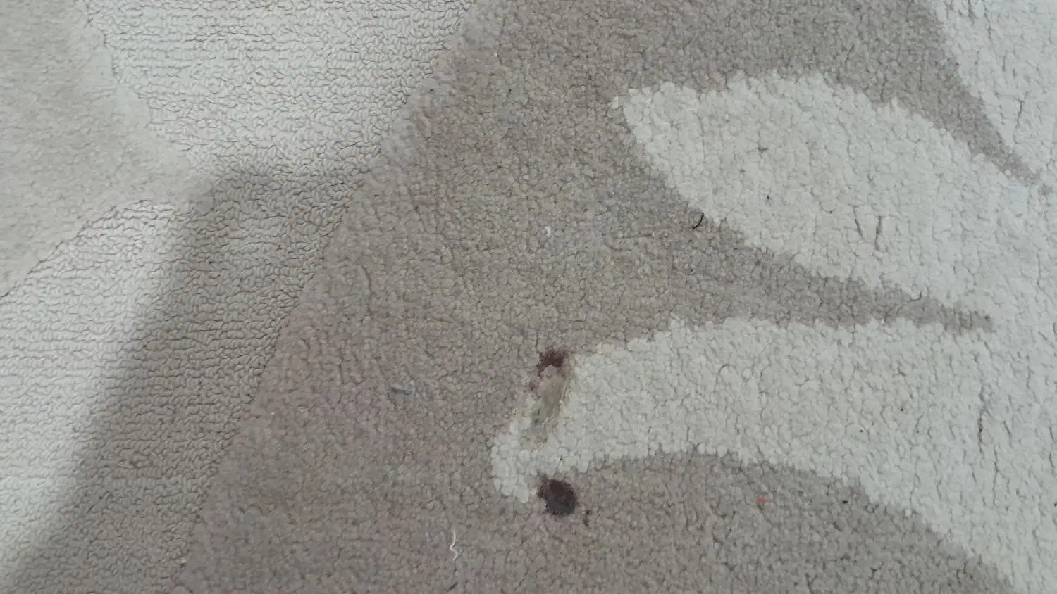 گلیم فرش پالاز ۶متری و ۴عددپشتی|گلیم، جاجیم، گبه|قم, محمد آباد|دیوار