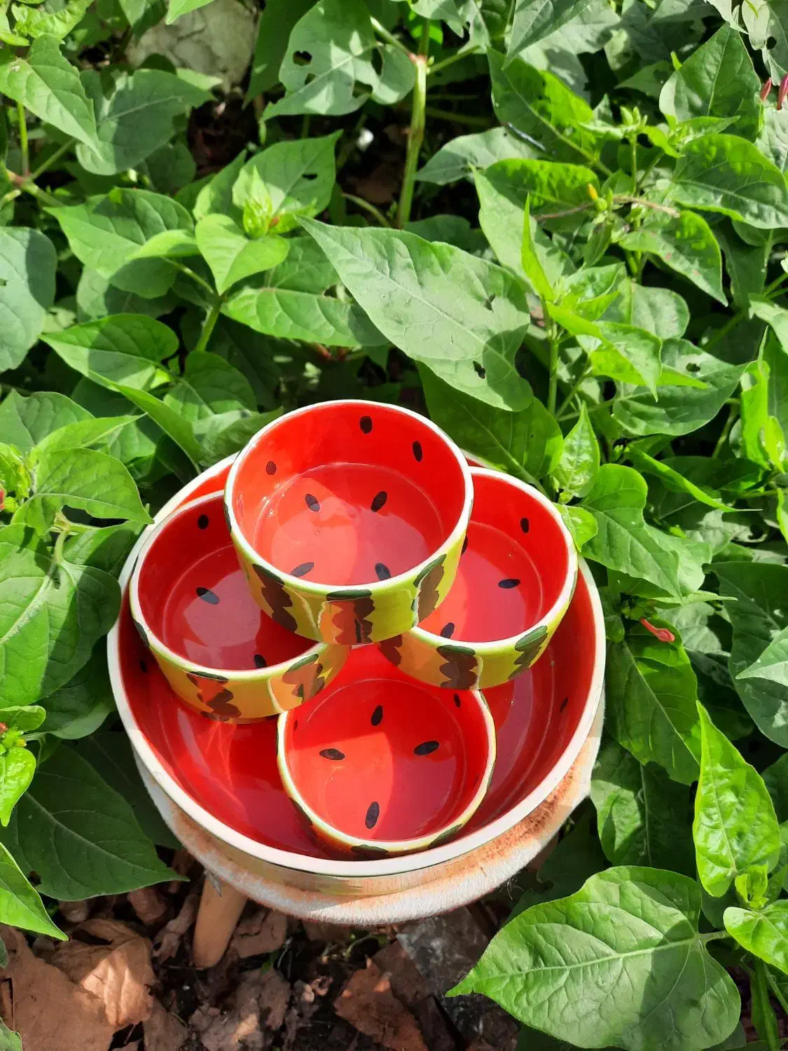 کاسه ۷تیکه سرامیکی هندونه|ظروف سرو و پذیرایی|رشت, هلال احمر|دیوار