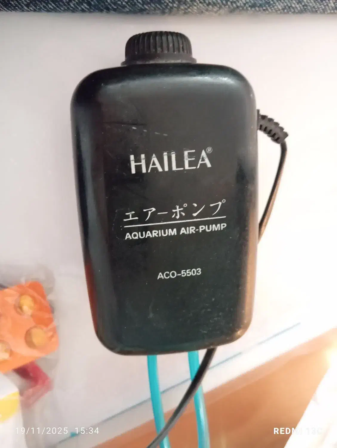 آکواریوم|ماهی|کرمانشاه, |دیوار