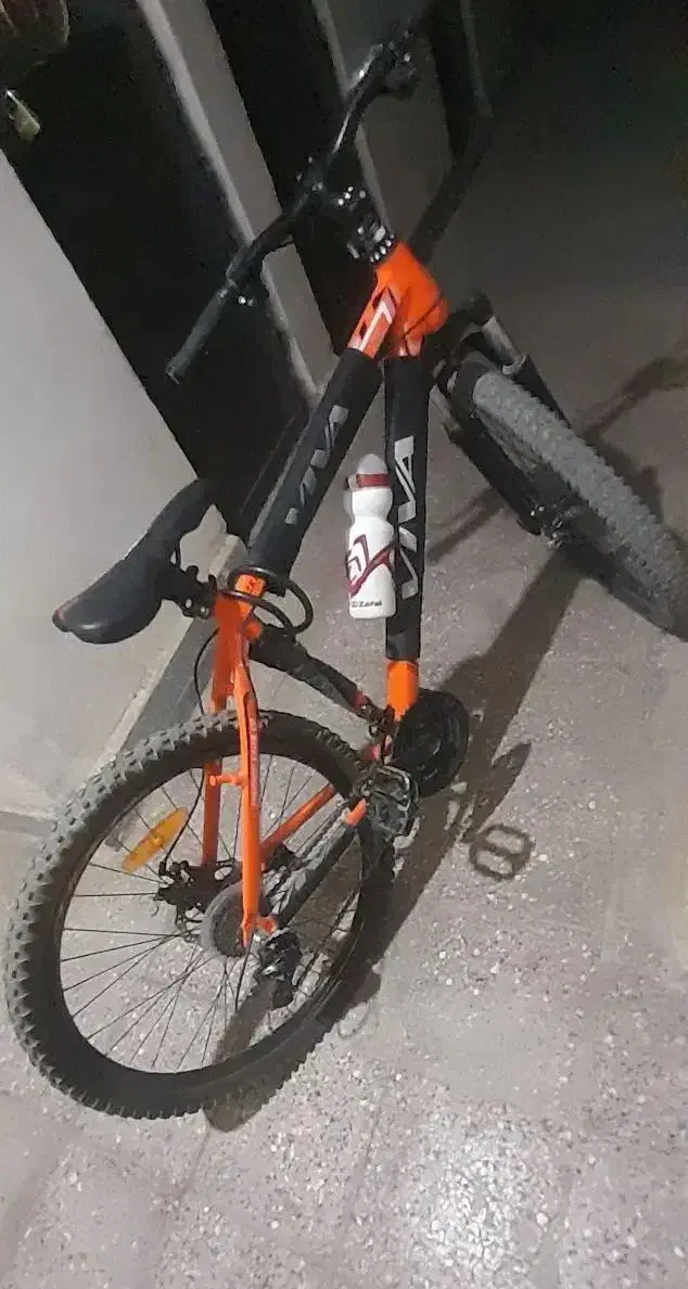 دوچرخه فونیکس|دوچرخه، اسکیت، اسکوتر|گناباد, |دیوار