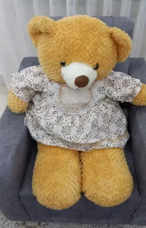 عروسک خرس بزرگ|اسباب‌بازی بچه|صومعه‌سرا, |دیوار