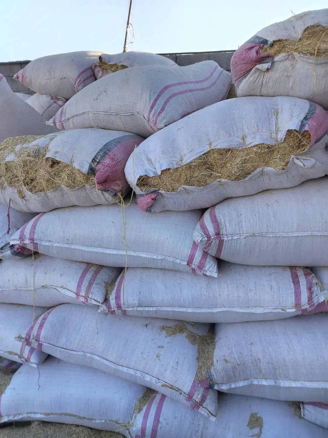 ذرت جو سویا خوراک تفاله چغندر سبوس یونجه|عمدهفروشی|جرقویه, |دیوار