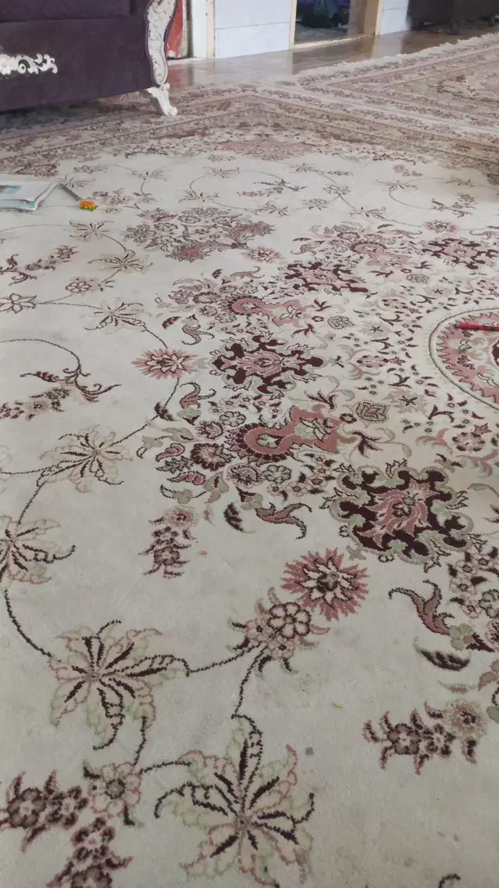 فرش. مشهد.|فرش|نیشابور, بلوار گلها|دیوار