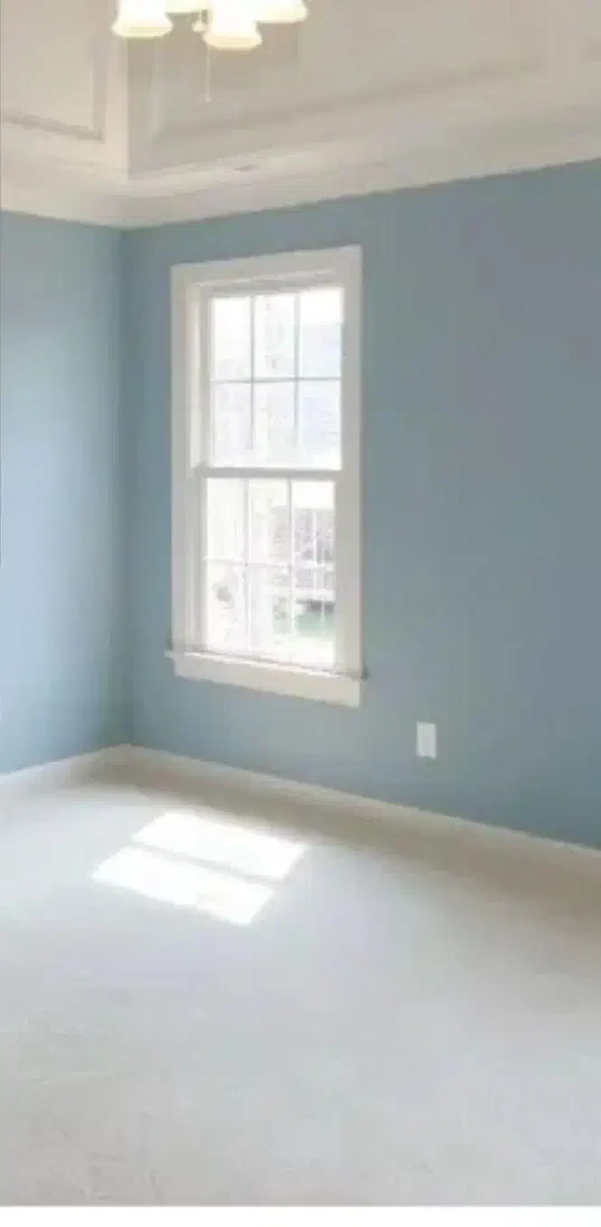 رنگ کار  نقاش ساختمان     اجرای انواع رنگ پلاستیک|خدمات پیشه و مهارت|قم, شهرک قدس|دیوار