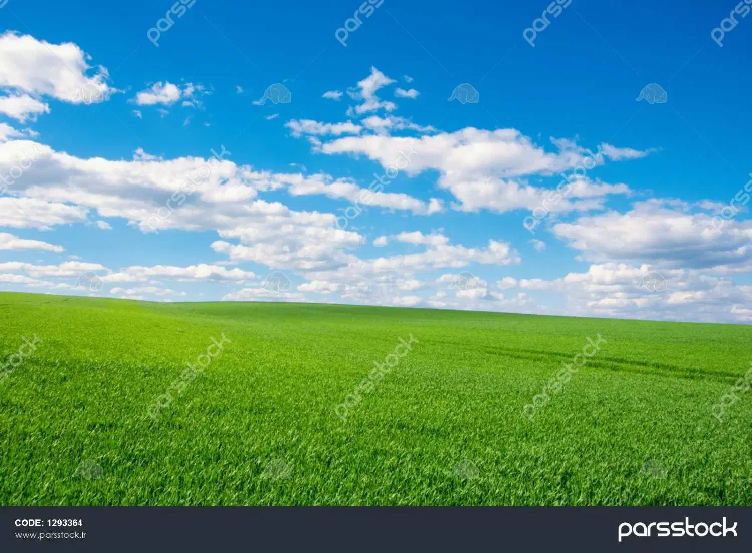 فروش زمین|فروش زمین و ملک کلنگی|سنگر, |دیوار