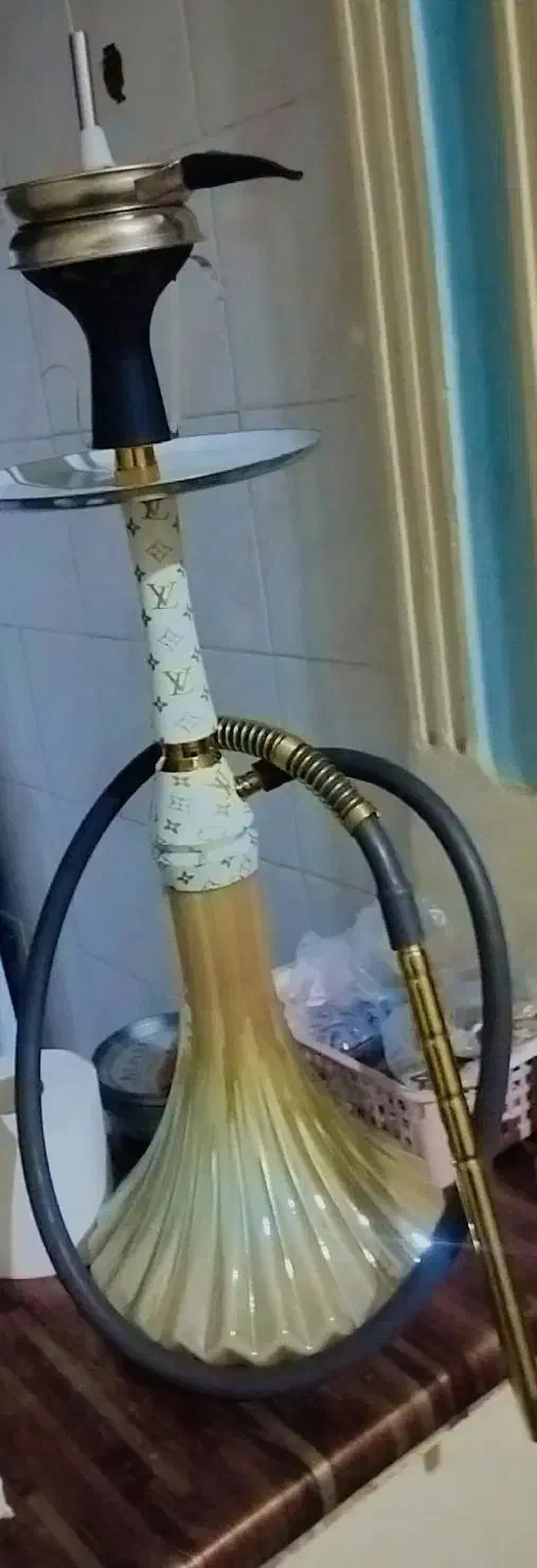 قیلیون عربی نو|کلکسیون و سرگرمی|یاسوج, |دیوار