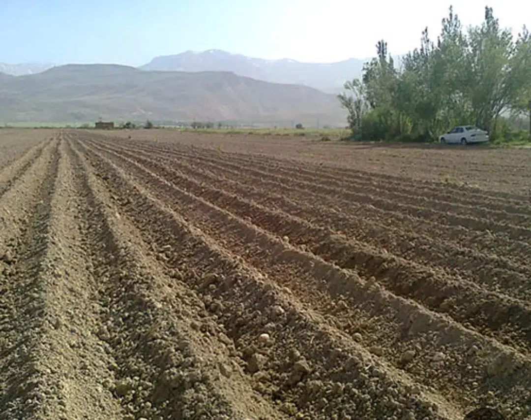 اجاره ۴ هکتار زمین آبی|اجارهٔ دفتر صنعتی، کشاورزی، تجاری|نهاوند, |دیوار