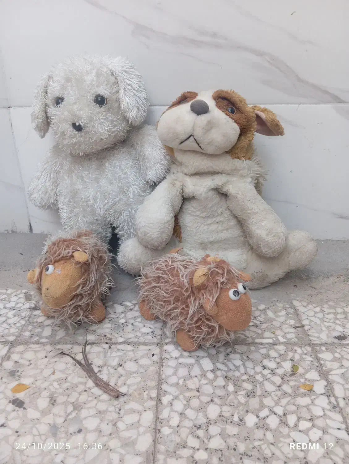 عروسک|اسباب‌بازی بچه|کرمان, |دیوار