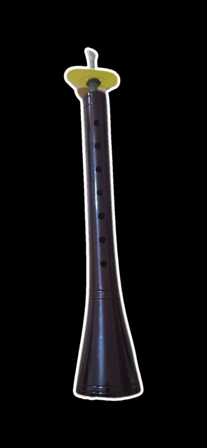 سرنا  * زرنا|سازهای بادی|بجنورد, |دیوار