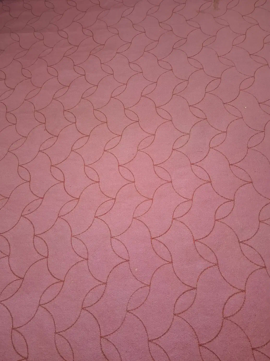 موکت درگرگان کوی خیام|موکت|گرگان, |دیوار